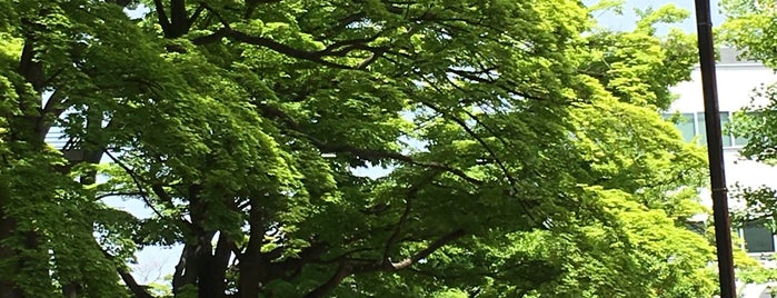 勝山公園 is one of 仙台の辻標.