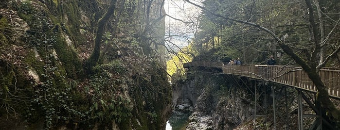 Horma Kanyonu is one of Batı ve Orta Karadeniz.