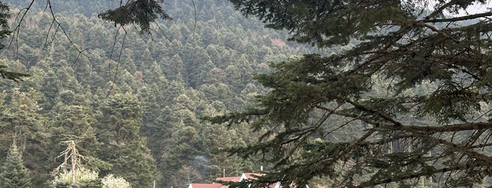 Gölcük Gölü is one of Bolu gezilecek yerler.