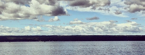 Cayuga Lake is one of Nut Ridge Bucket List.