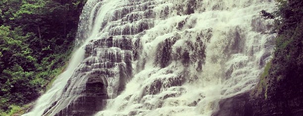 Ithaca Falls is one of Nut Ridge Bucket List.