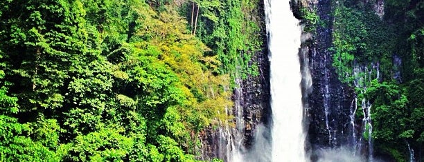 Maria Cristina Falls is one of I Was Here for Some Reason....