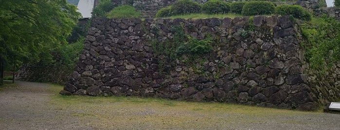 Echizen Ono Castle is one of 城跡　その２.