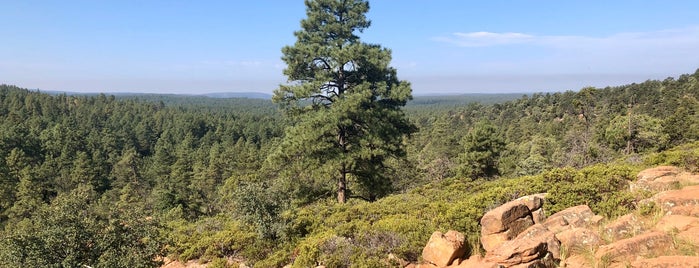 Rim Trail is one of Pinetop.