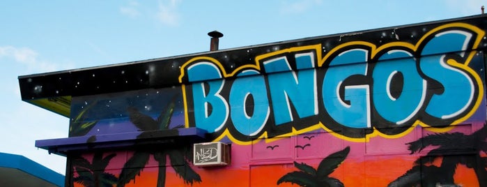 Bongos is one of The Un-Seattle Guide.