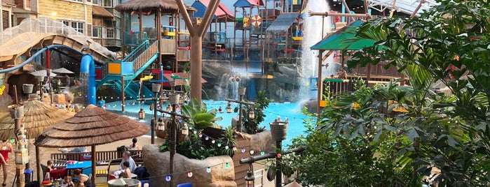 Splash Landings Waterpark is one of Martinさんのお気に入りスポット.