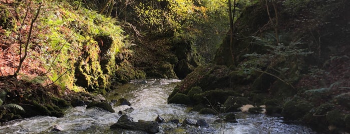 Plas Cadnant Hidden Garden is one of Wonderful Wales.