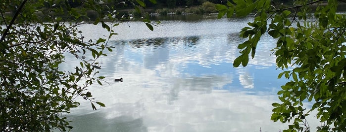 Earlswood Reservoir is one of Elliott : понравившиеся места.