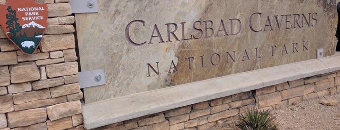 Carlsbad Caverns National Park Visitors Center is one of สถานที่ที่ Quantum ถูกใจ.