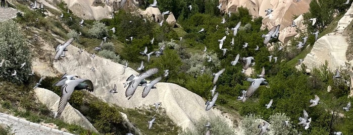 Pigeon Valley is one of Kapadokya.