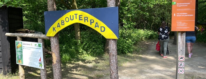 Het Grote Kabouterbos is one of Flevopolder.