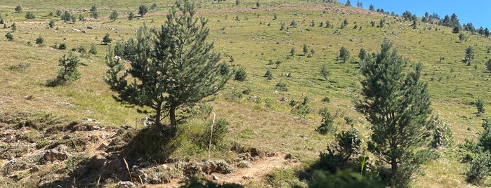 Saranoy Yaylası is one of Trabzon.