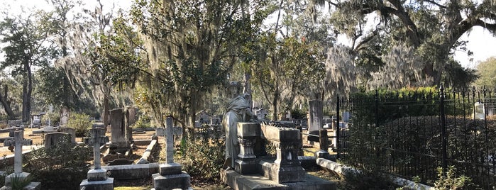 Bonaventure Cemetery is one of Bob's Haunted Bachelor.