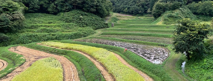 石畑の棚田 is one of 日本の棚田百選.