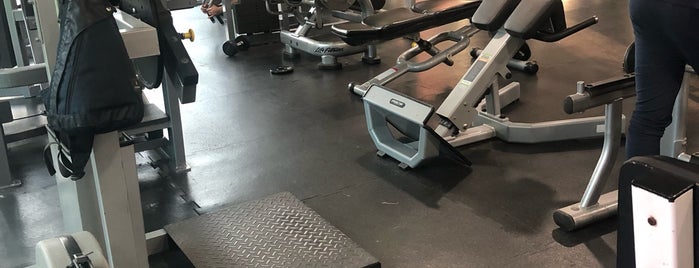 HPE Corporate Gym is one of Susana’s Liked Places.