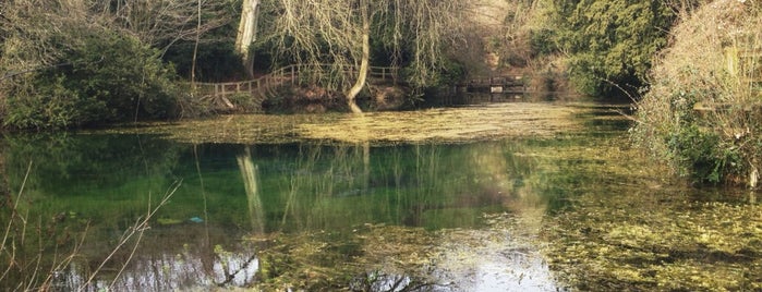 Silent Pool is one of Tempat yang Disukai Carolina.