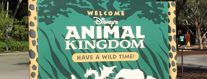 Disney's Animal Kingdom is one of Orte, die Flávia gefallen.