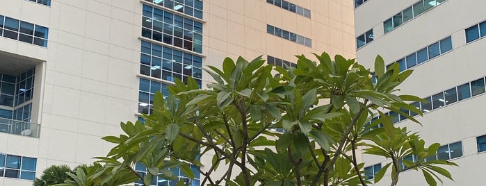 The Rockwell Business Center is one of The Medical City.