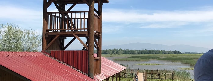 Efteni Gölü is one of Bolu & Düzce.