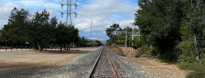 Joe's Trail at Saratoga de Anza is one of Guide to Saratoga's best spots.