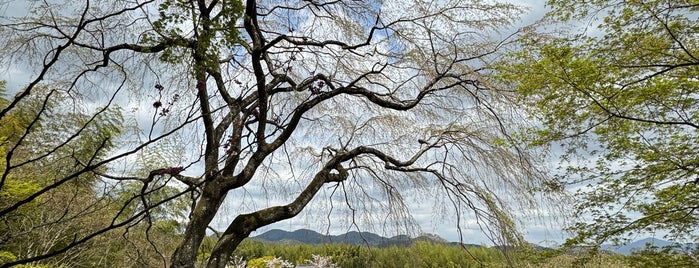 Sogenchi Garden is one of My experiences of Japan.