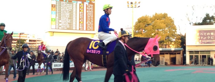 Ohi Racecourse (Tokyo City Keiba) is one of 行きたい（white）.