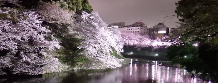 Chidorigafuchi is one of 皇居周辺お散歩デート.