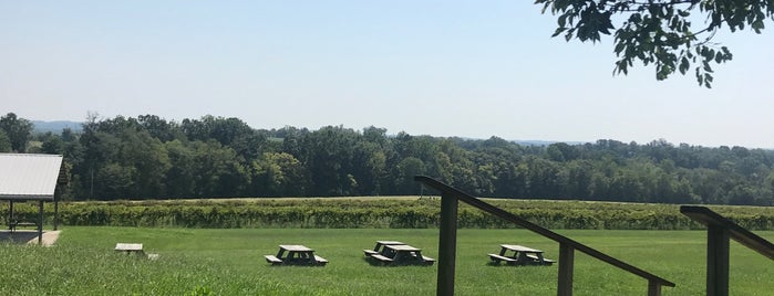 Robller Vineyard is one of Missouri Wine Country.