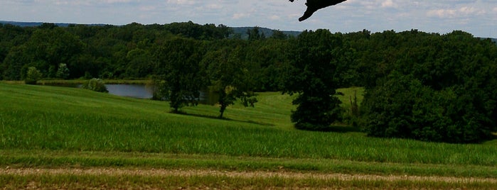 Bommarito Almond Tree Winery is one of Wineries.