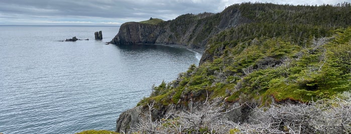 Skerwink Hiking Trail is one of Newfoundland.