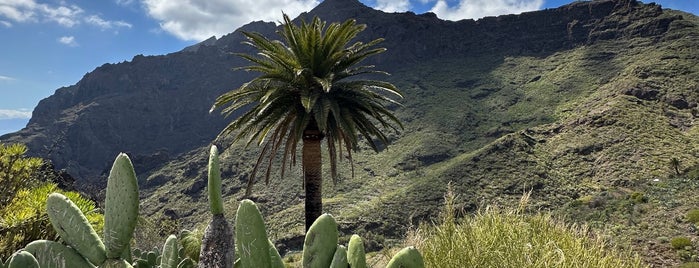 Plaza de Masca is one of Teneriffa.