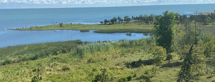Muhu saar is one of Estonia.