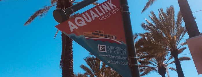 Aqualink is one of Darcey’s Liked Places.