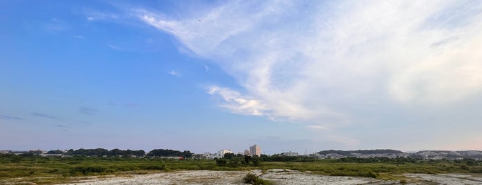 多摩川左岸 海から43Km is one of 多摩川.
