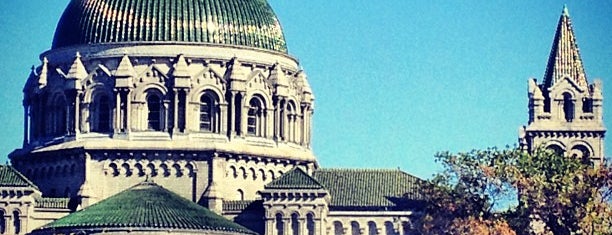 Cathedral Basilica of Saint Louis is one of STL.