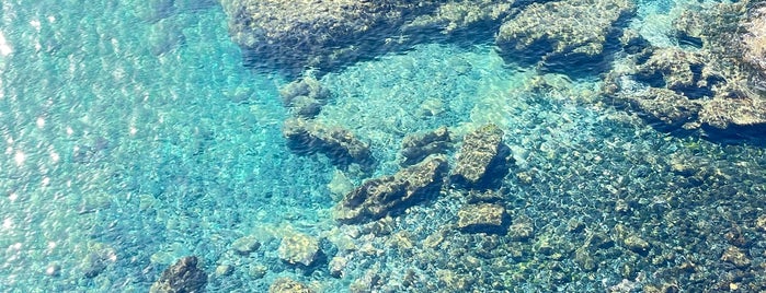 Playa Dorada is one of Lanzarote.
