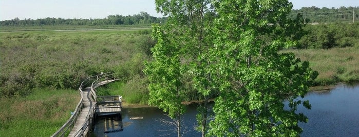 Woodland Dunes Nature Center is one of Attractions.