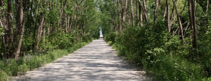 Tommy Thompson Park is one of Kyo'nun Beğendiği Mekanlar.