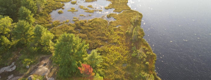 Torrance Barrens Dark Sky Conservation Area is one of Kyo'nun Beğendiği Mekanlar.