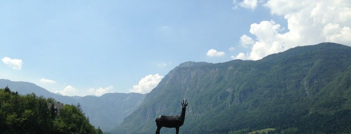 Lake Bohinj is one of Alpin.