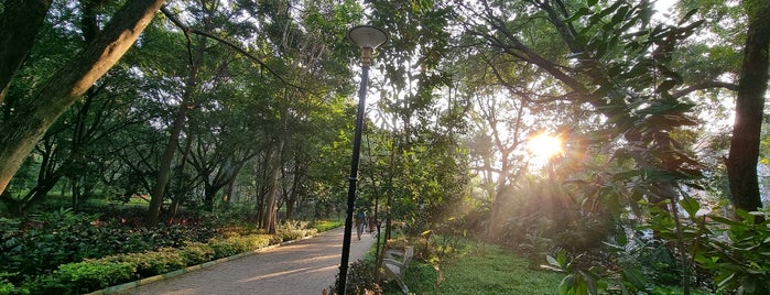 Krishna Rao Park is one of Best places in Bengaluru.