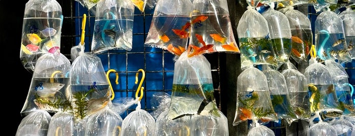 Goldfish Market is one of Hongkong.