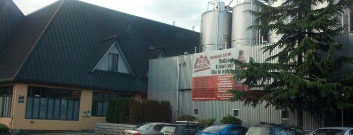 Redhook Brewery is one of Most Iconic Booze per State.