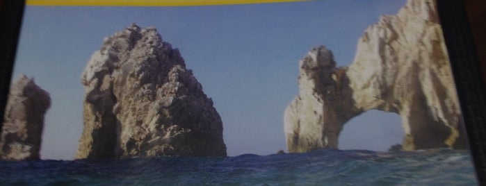 Los Cabos is one of Posti salvati di Reneta.
