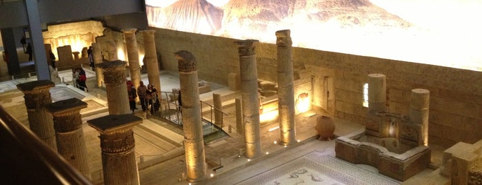 Zeugma Mosaic Museum is one of Eda’s Liked Places.