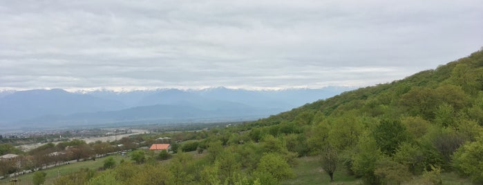 Chateau Mere | შატო მერე is one of Andrey'in Beğendiği Mekanlar.