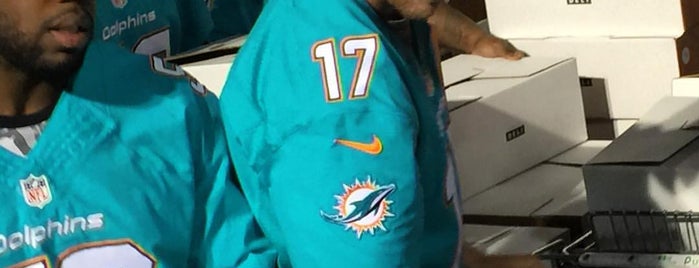 Miami Dolphins Pro Shop is one of Miami dolphins work stuff.