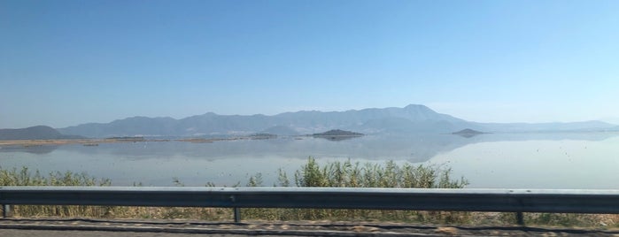 Lago de Cuitzeo is one of Moni'nin Beğendiği Mekanlar.