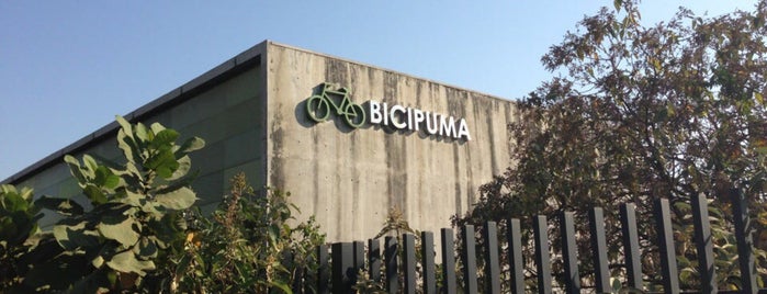 Bicipuma is one of Ciclismo DF.