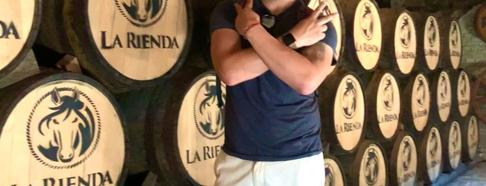 Destilería Rubio is one of Tequila Tour.